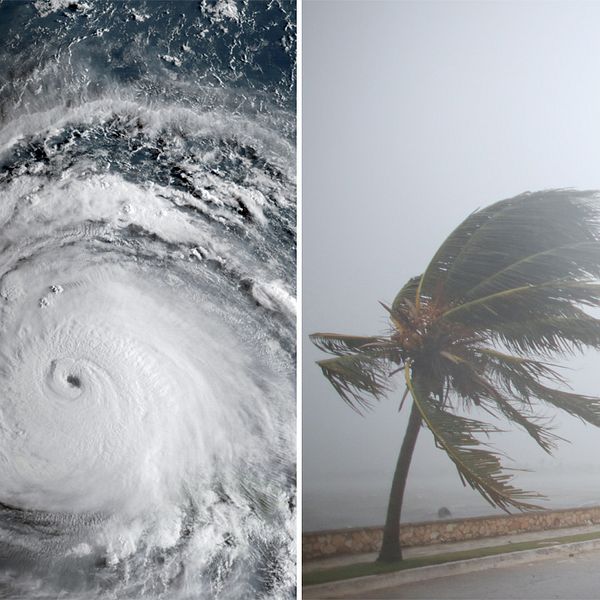 Bild på stormen och bild från Kuba.