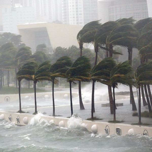 Orkanen Irma blåser in över Miami