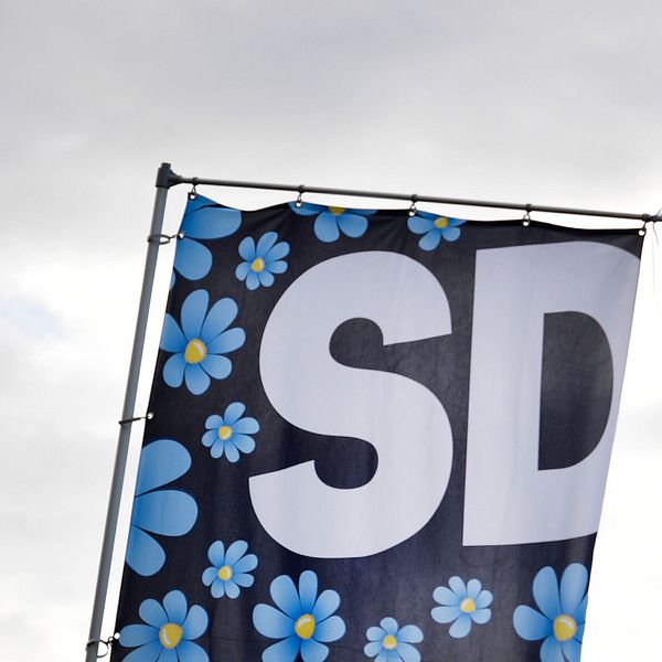 Sverigedemokraternas logga.
