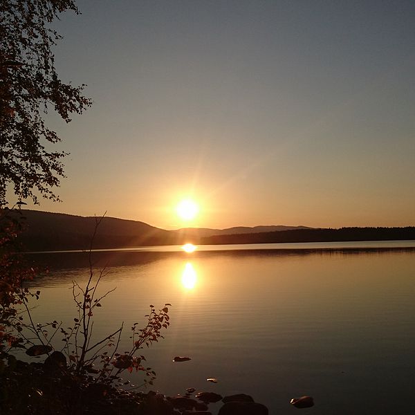 solnedgång med vy över blank sjö, land och i förgrund träd