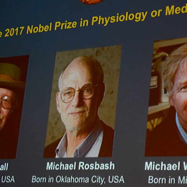 Tre delar på Nobels medicinpris
