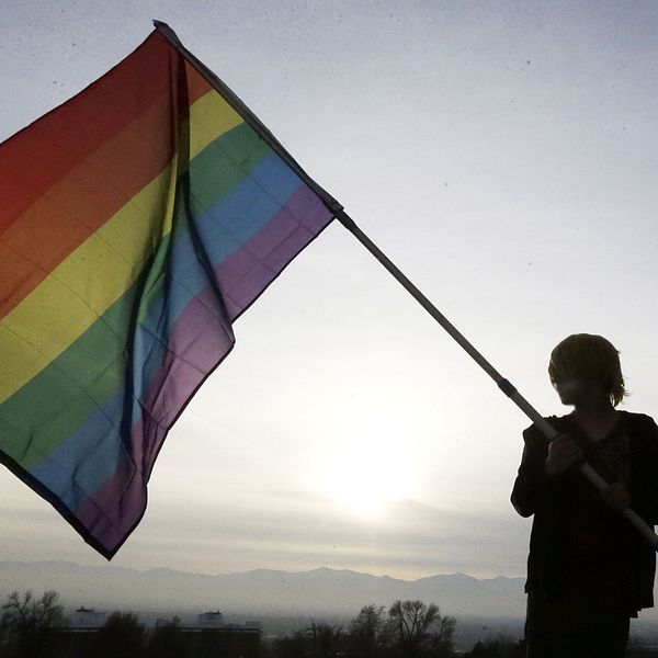 En person håller i en regnbågsflagga.