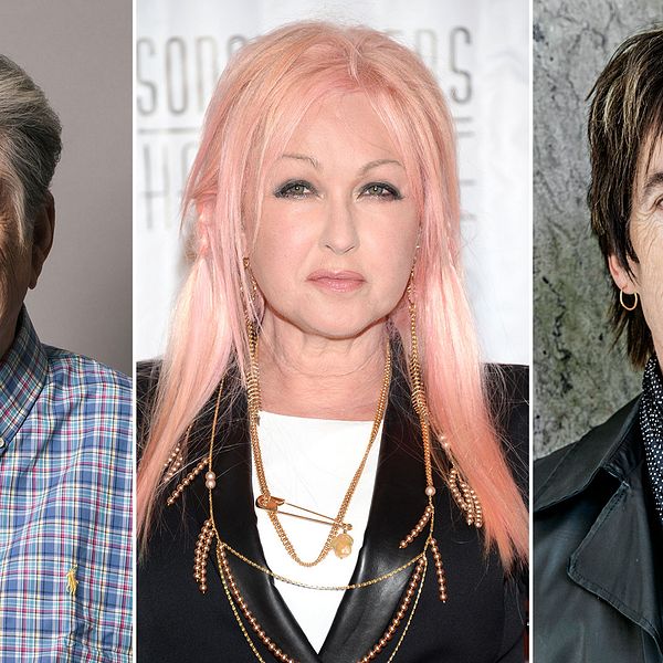 Brian Wilson, Cyndi Lauper och Per Gessle är alla förkrossade över Tom Pettys död.