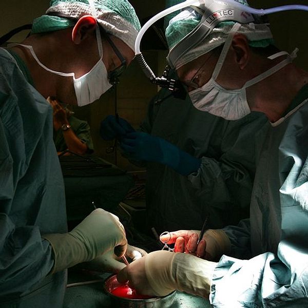 Patienter dör i väntan på organ