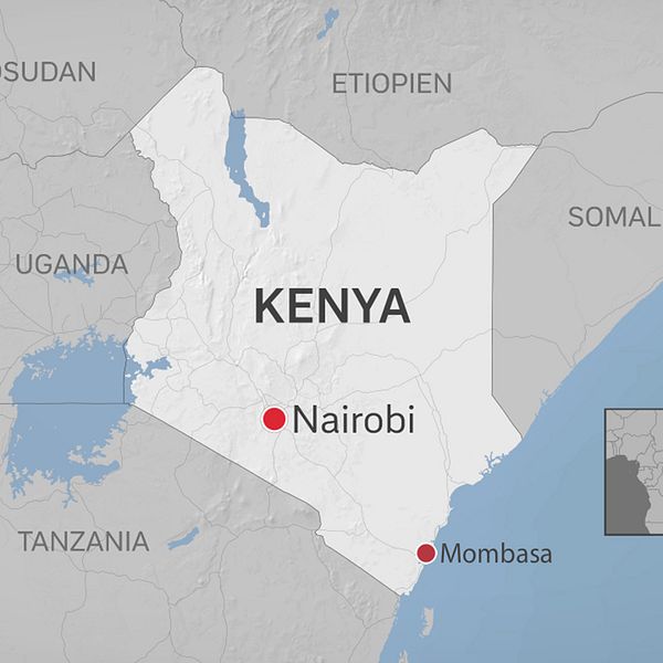 Enkel karta över Kenya