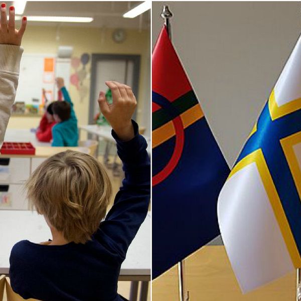 Europarådet pekar på brister i hur Sverige tar hand om sina nationella minoriteter.