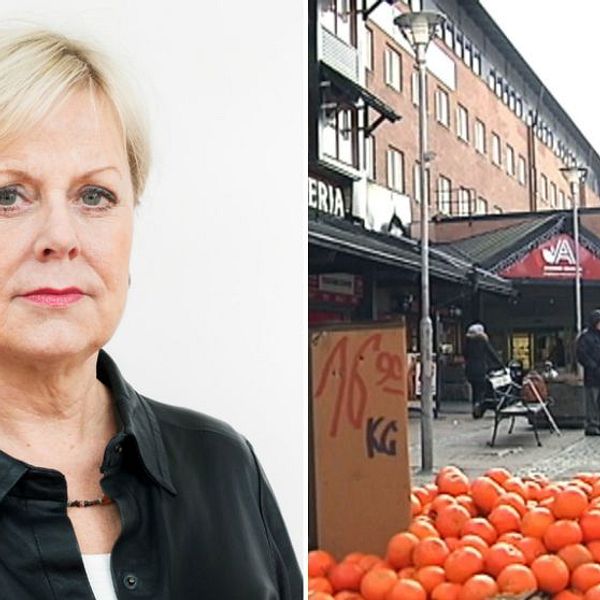 Lena Ag blir generaldirektör för den nya Jämställdhetsmyndigheten