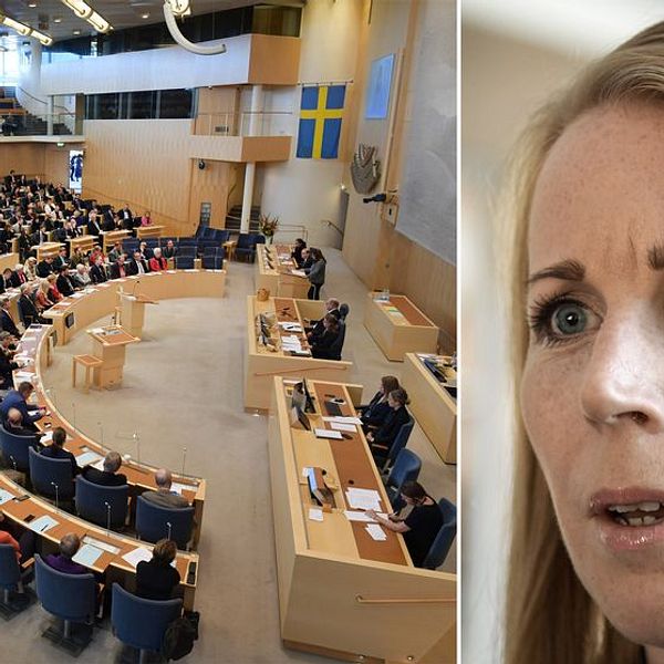 Centerledaren Annie Lööf: ”Jag har fått ovälkomna händer på min kropp”