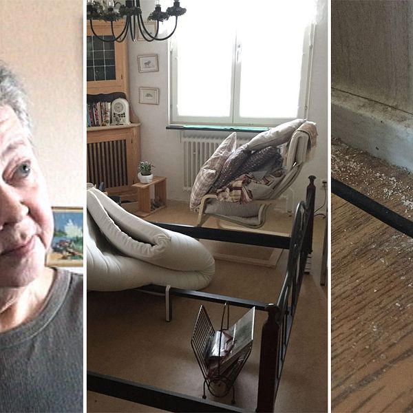 Ingela, i ett hyreshus i Västerås, är förtvivlad över situationen med vägglöss som pågått i månader.