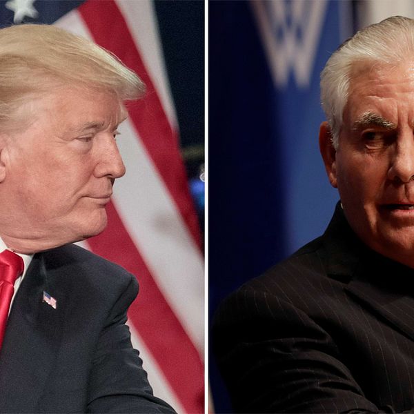 Till vänster Donald Trump. Till höger Rex Tillerson. Arkivbilder.