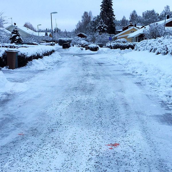 gata i villaområde vintertid, en blodfläck syns på marken