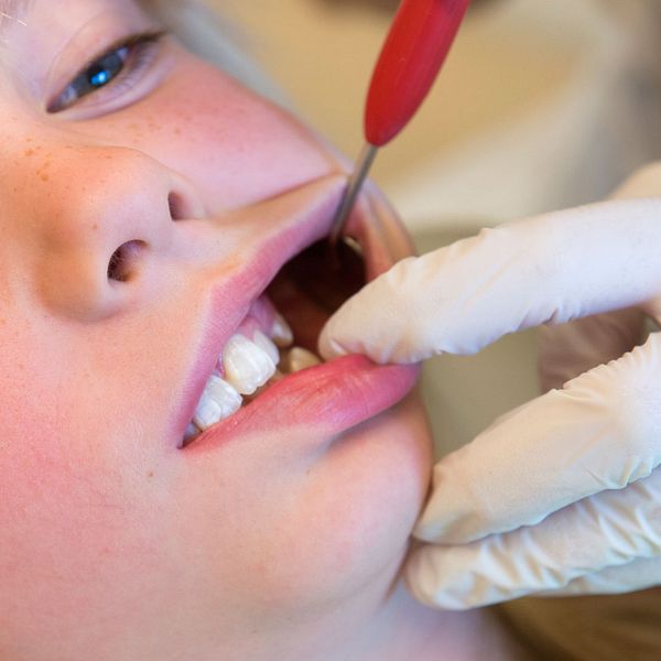 Flicka får sina tänder undersökta av tandläkare