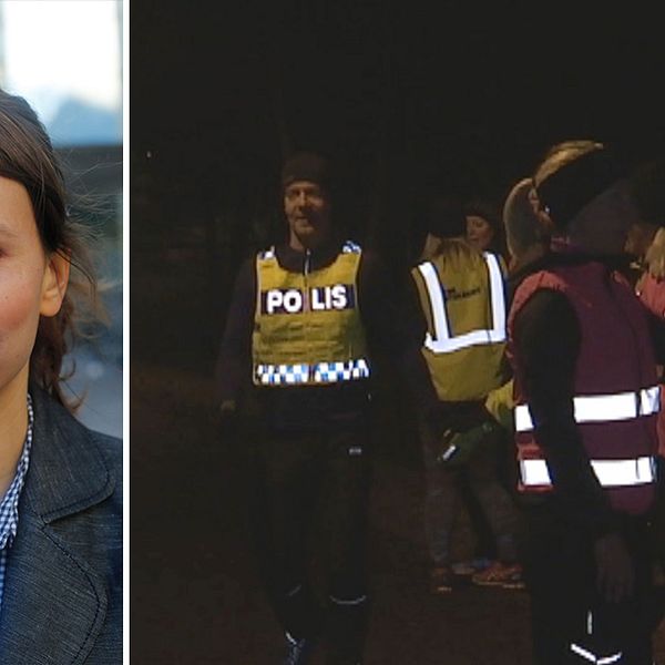 Anita Heber är kriminologforskare på Stockholms universitet.