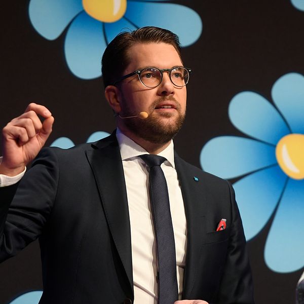 Jimmie Åkesson framför en bakgrund med Sverigedemokraternas logga på, som föreställer en blå blomma.