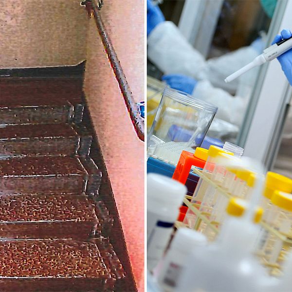 Till vänster trappuppgången där den misstänkta våldtäkten skedde. Till höger en arkivbild på ett DNA-test.