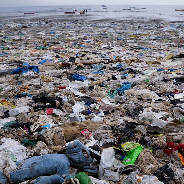 En strand i Bombay, Indien, helt täckt av skräp som mestadels består av plast.