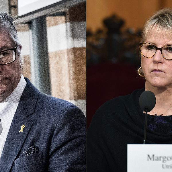 Moderaternas forsvarspolitiske talesperson Hans Wallmark riktar kritik mot Margot Wallström.