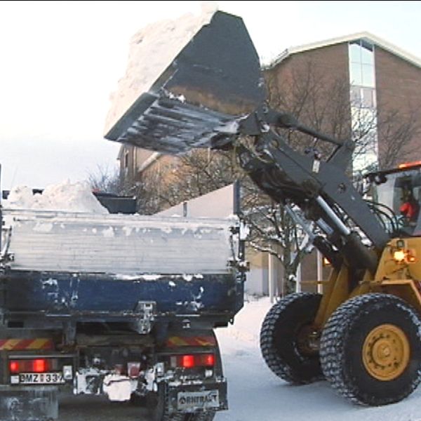 En traktor dumpar snö i ett lastbilsflak.