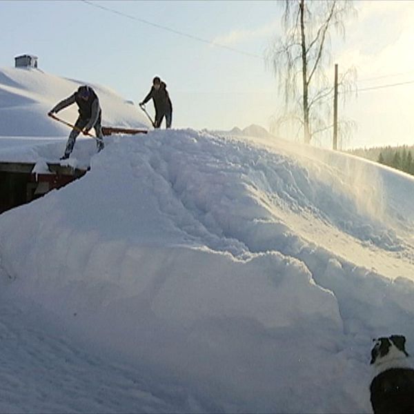 Snön går ända upp till hustaket på vissa av husen i Gåltjärn.