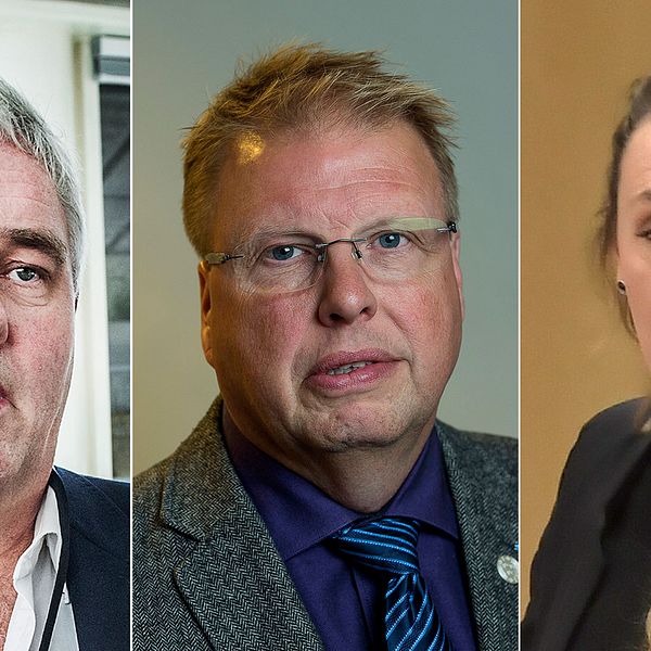 Politikerna Anders W Jonsson (C), Bengt Eliasson (L) och Maj Karlsson (V).