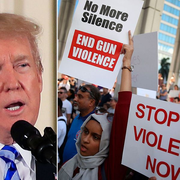 Donald Trump och demonstranter mot vapenvåld
