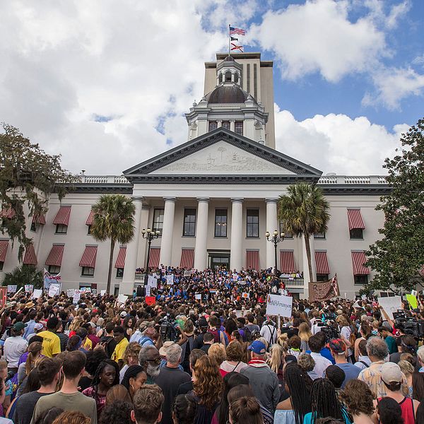 Ett stort antal människor protesterade mot vapenvåld utanför Floridas delstatskongress i Tallahassee under onsdagen den 21 februari.