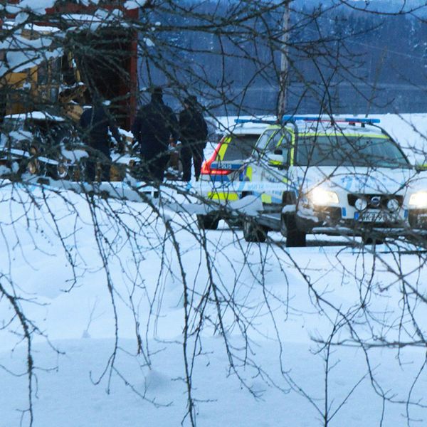 polisbilar, personer ses genom grenar, vinter