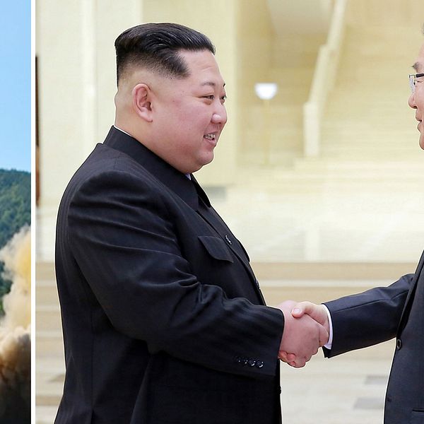 Kim Jong-Un och Chung Eui-Yong.
