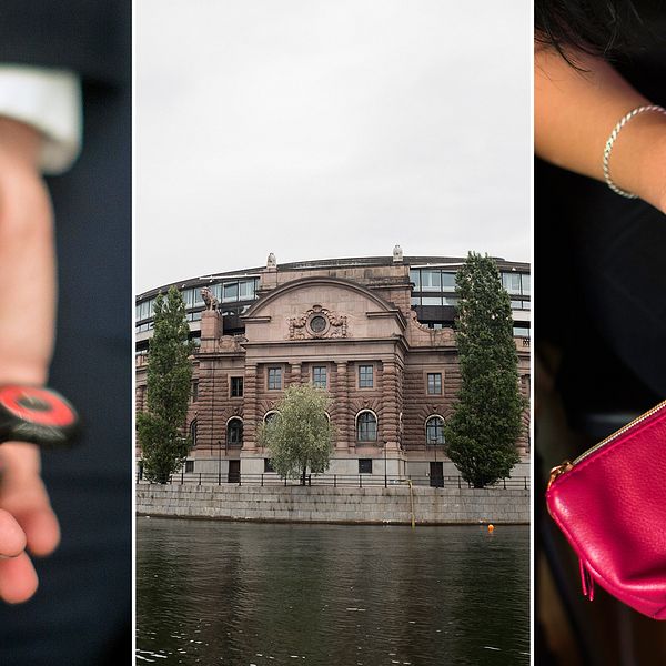 En fidgetspinner, riksdagshuset i Stockholm och ett homeparty arrangerat av Feministiskt initiativ.