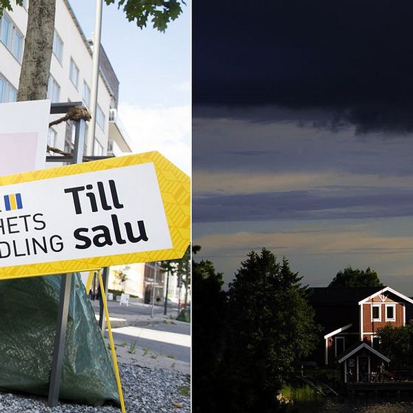 Collage. Till salu-skyltar. Stuga.