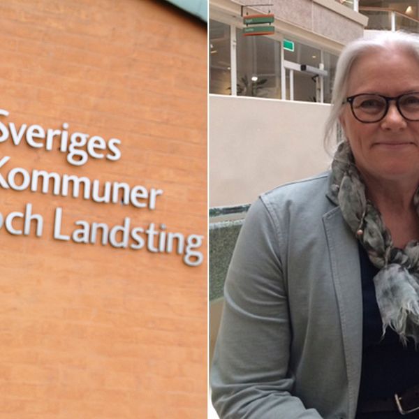 Lotta Andersson Damberg, utredare på Sveriges kommuner och landsting, SKL.