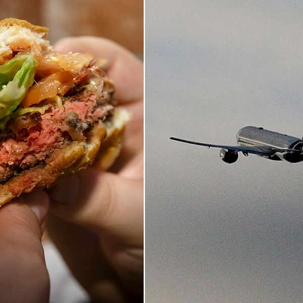 Till höger två händer som håller i en hamburgare och till vänster ett flygplan i luften.