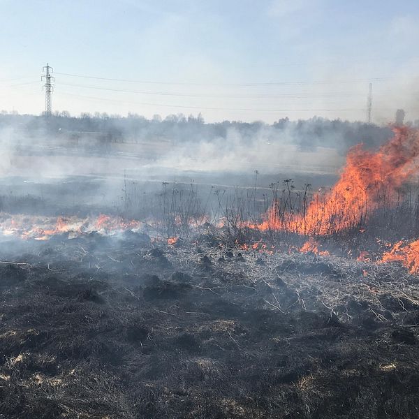 Gräsbrand.