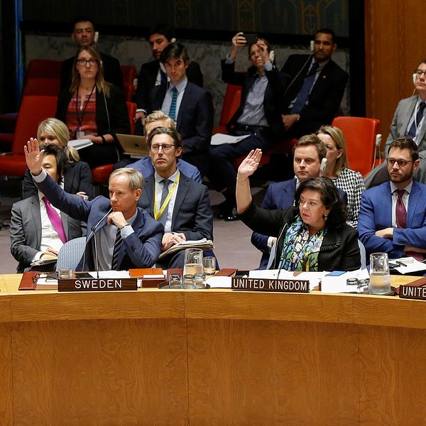 FN-ambassadörer från flera länder röstar genom att hålla upp händer.
