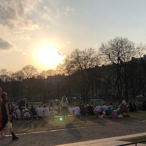 Vasaparken i Stockholm fylldes av folk under fredagen. Alla som gläds åt att sommaren är här får dock räkna med ett bakslag när kallare temperaturer drar in över landet i veckan.