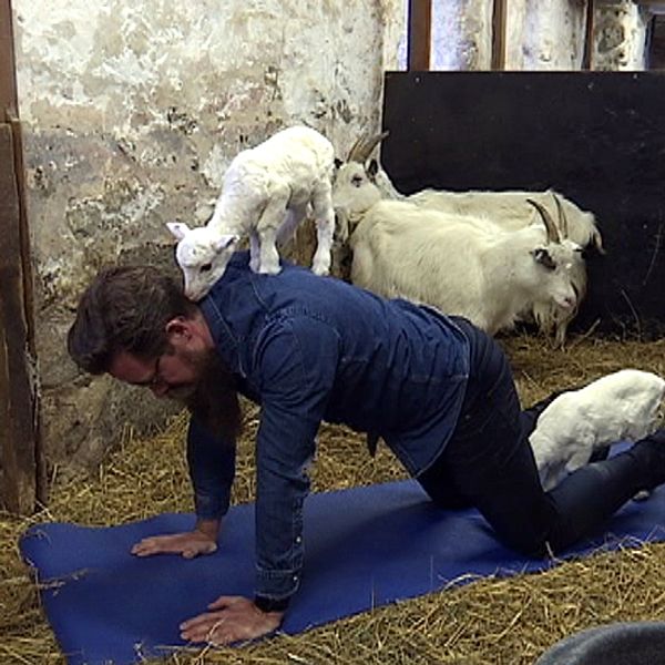 Henric Nilsson på Stättareds 4H-gård demonstrerar getyoga.