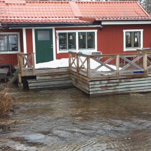 Vårfloden förväntas kulminera nästa vecka i Västernorrland.