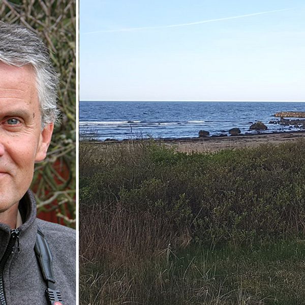 Anders Wirdheim och stranden vid Ringenäs.
