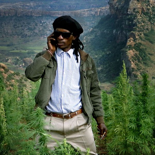 Kotsoana, en av många marijuanaodlare som hoppas få en licens för odlande av medicinsk marijuana.