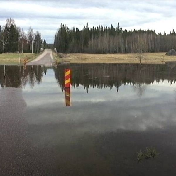 Översvämmad väg i Stigsjö väster om Härnösand.