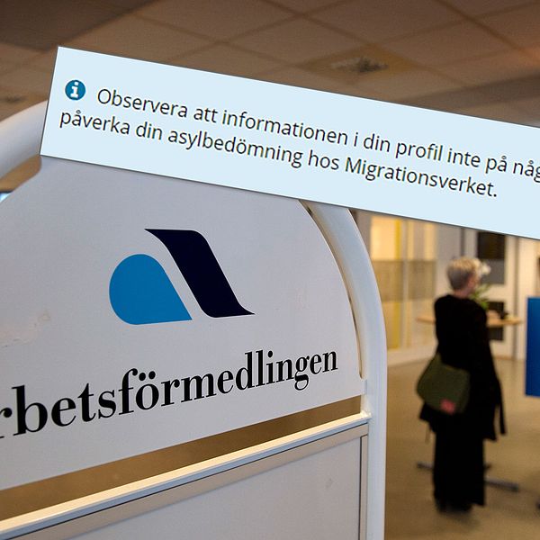 Löftet till asylsökande i jobbtjänsten Jobskills