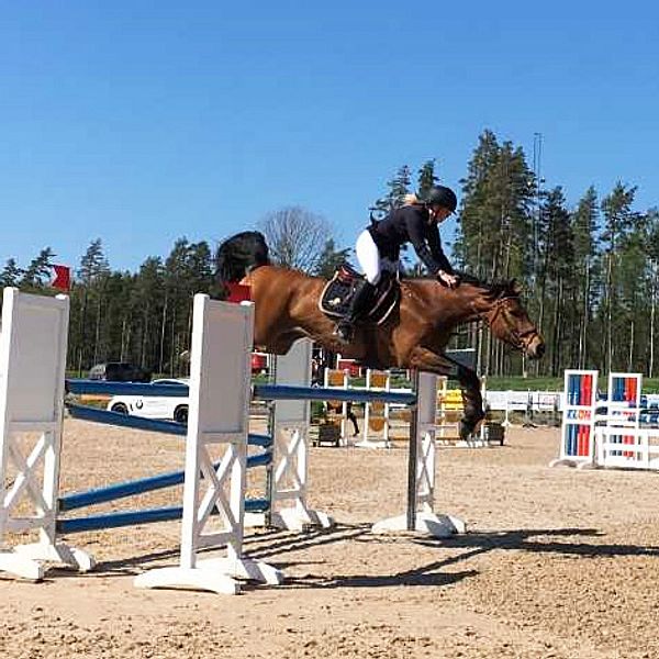 Ekipage som hoppar över hinder vid ryttartävlingarna Wermlands Equestrian Games.