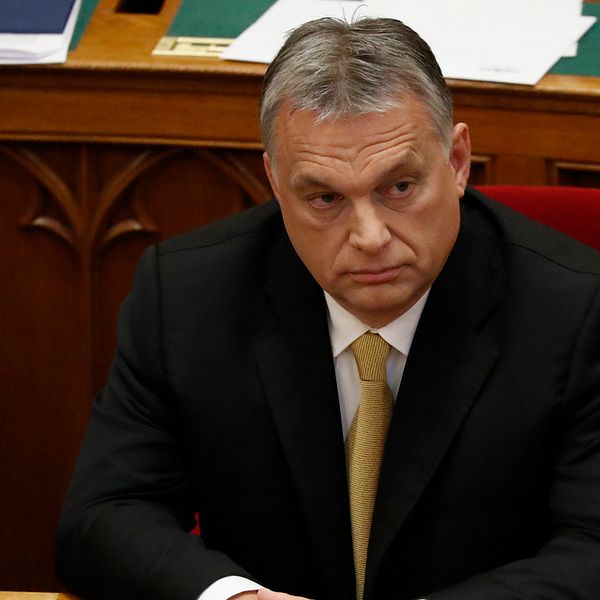 Ungerns premiärminister Viktor Orbán har valts om till en tredje mandatperiod.