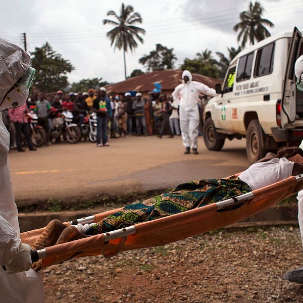 Arkivbild från Sierra Leone 2014. Två personer i heltäckande dräkter bär en misstänkt ebolapatient till en ambulans.