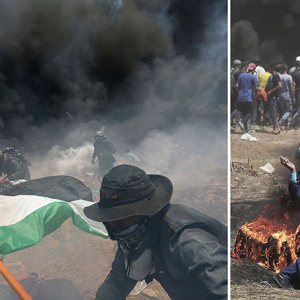 Folk som kastar sten och springer med palestinska flaggan i Gaza. Bildäck brinner, stora rökmoln. På marken ligger personer och försöker skydda sig.