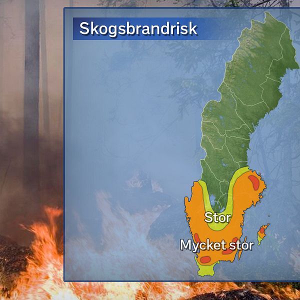 Stor risk för skogsbrand i hela Stockholms län.
