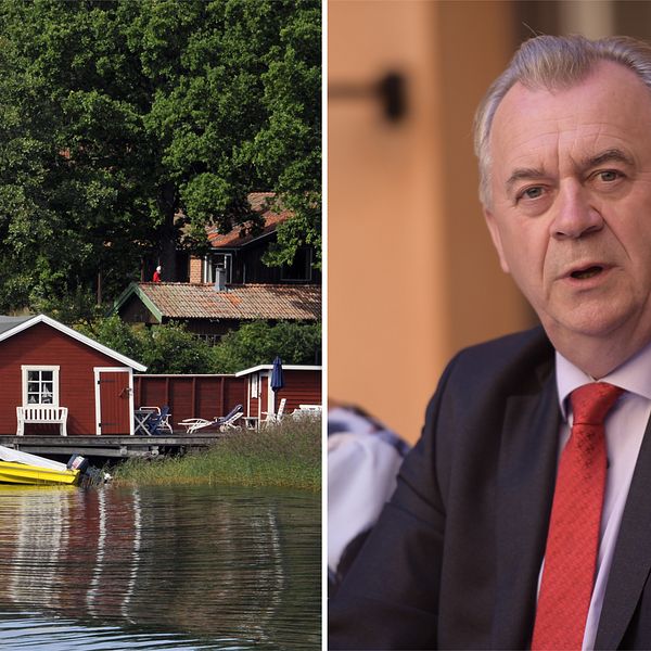 Bild på sommarstuga vid vattnet samt landsbygdsministern Sven-Erik Bucht (S).