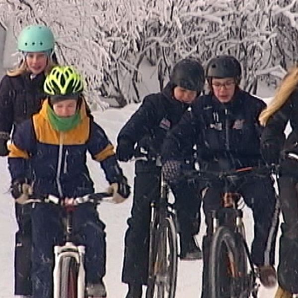 grupp barn com cyklar på vintern