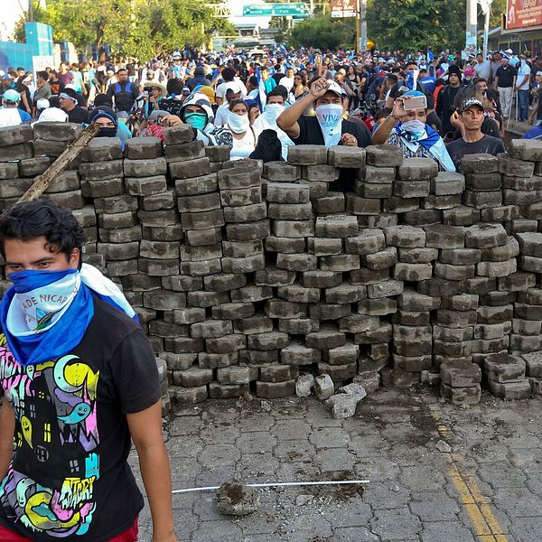 En maskerad man i förgrunden framför en provisorisk mur av sten bakom vilken yterligare demonstranter syns.
