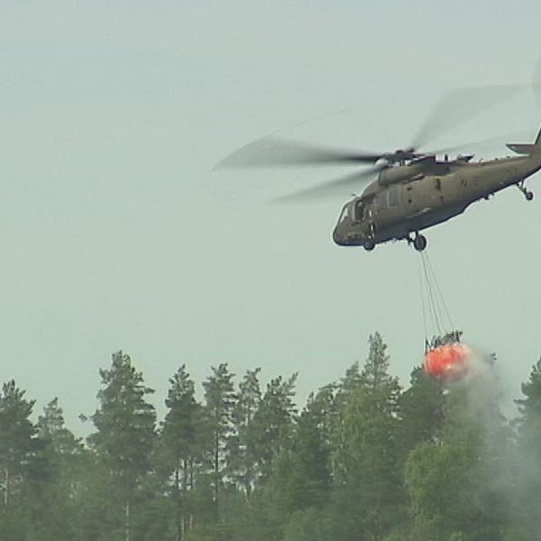 Helikopter flyger över skogen med vattenbehållare under.